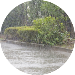 大雨が降っている様子